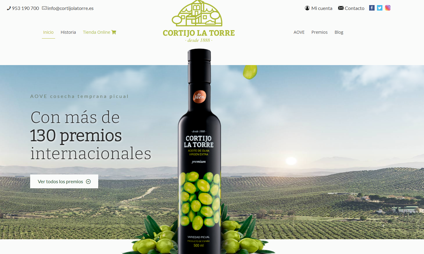 A curated selection of premium olive oils featuring diverse flavor profiles and global origins.