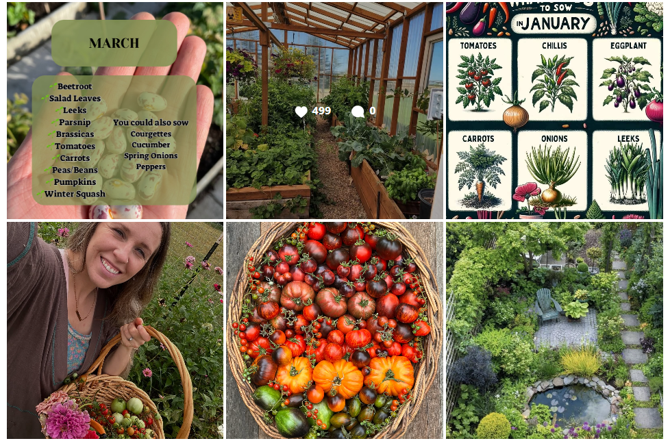 Surprising Hobbies for Seniors gardening